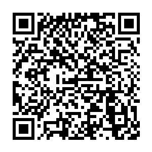 硬生生把一本让任何人看了都头大的华文字典上的字全部认识才算完二维码生成