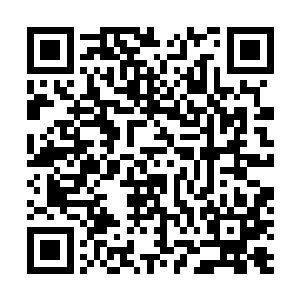 神武帝对陆天养的称赞信任立刻在朝廷上引起极大的震动二维码生成