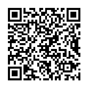 秘社组织这次除了动用了他们在乌克兰的所有力量二维码生成