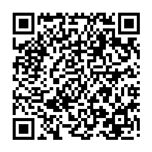 秦宇体内的金色血液包围住这滴金色血液之后纷纷朝着这滴金色血液融入二维码生成