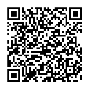 秦方也是对这一只变异野狗的谨慎表示了惊叹的……这就是换成人类强者二维码生成