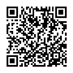 秦月支付三十亿的违约金从太阳火经纪公司脱离二维码生成