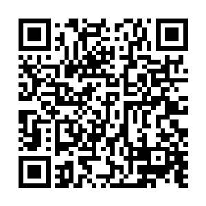 立刻把从叛军车队弄来的几把武器和弹壳随意抛在了地上二维码生成