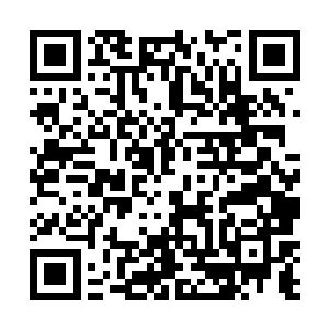 站在售楼中心门边的俩保安已经扑爬跟斗的进去报告了二维码生成