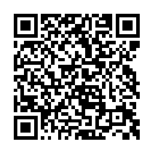 竟然将我送进一个有资深玩家情侣档的任务里来二维码生成