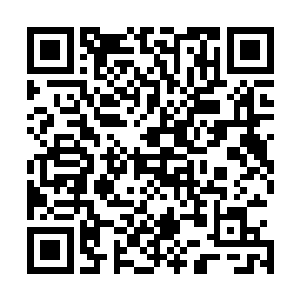 第一产业的发展要以现代精细化农业和绿色环保农业为主导二维码生成