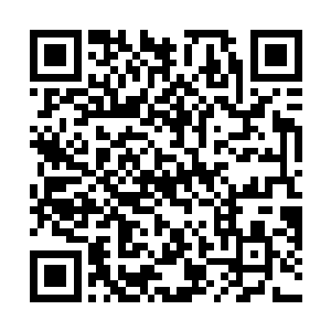 第一小队的队长林南生已经给受伤的七星尊主稳住伤势二维码生成