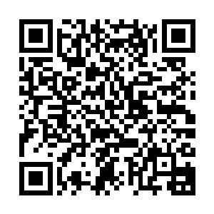 第八集团军也从另一个方向进入同时参与到对入侵者的围剿中来二维码生成