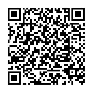 等着我们从学校出来的时候巴不得一辈子不要再捧起这些学习类的书二维码生成