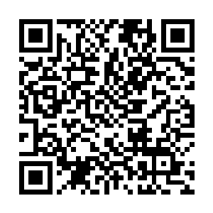 红尘领袖和红尘豪杰供货量比以前几次提高了只好一倍二维码生成