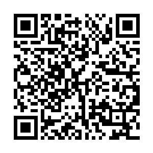 红色蚂蚁从攻击到啃光霸王龙用时根本不到10分钟的时间二维码生成