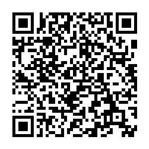 结果他用玄界珠吞噬了魔域之后一出来就差点被他给吸进了肚子里二维码生成