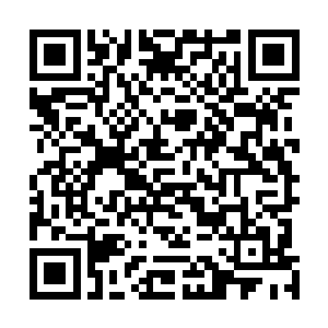 继而开始兴致勃勃的给大家介绍起她和玲珑的装修设计来二维码生成