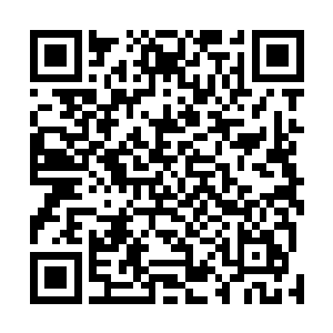 维持阵法的一百余名仙君境以及仙帝境强者纷纷四散开来二维码生成