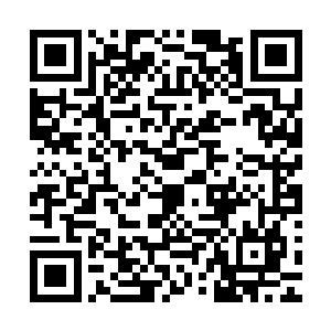 而且从没见到他用其余的神通死的人都在原地几乎没怎么移动二维码生成