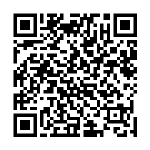 而你提供的报酬会是五百万的现金以及大梦电影50%的股权二维码生成