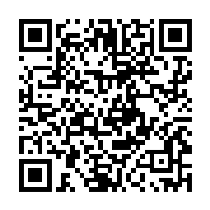 而刻画了灵武电宗四个大字的玉石石碑上也流光溢彩二维码生成