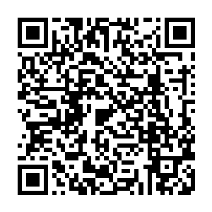 而原本懒洋洋半躺着的流墨墨看了一眼笑嘻嘻捧着水晶碗过来的灵猫儿坐起身二维码生成