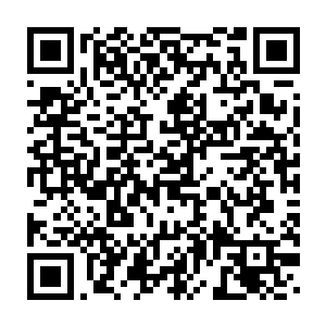 而后就导致其他三只仙灵都成长的直接可以去打仙人的注意的时候二维码生成