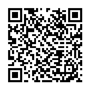 而是因为夏天是周围唯一一个对他们没有敬畏的人二维码生成