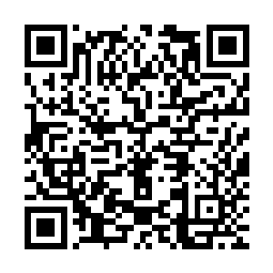 而此时此刻那几个妖皇级别的高手此刻都是围着林梦君和萧子卓二维码生成