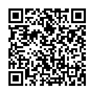 而这局LH战队在禁掉轮子妈的时候也想好了这局要怎么玩了二维码生成