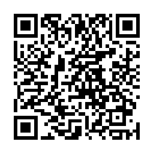 而这支队伍前方最厉害的几名青木寨成员也根本没法多想二维码生成