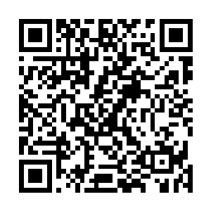 耗费了大量时间和先天混沌之气培育出来的新一代桂树精二维码生成