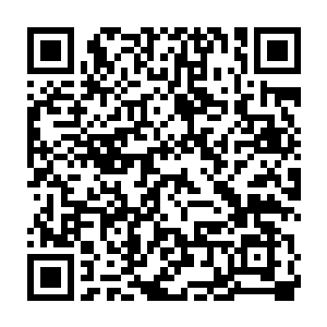 聚在一起也是比较有话题的……跟各自宗门的长老汇报了一下情况二维码生成