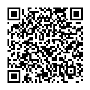 自从拜师逍遥神尊之后龙傲天的命运好像就一下子发生了天翻地覆的变化二维码生成