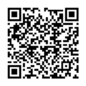 自从林放击败了卫正冬成为苏南市道上真正的枭雄二维码生成