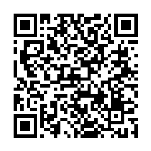自己完全可以利用NPC的牛掰身份在游戏世界中狠捞一把二维码生成