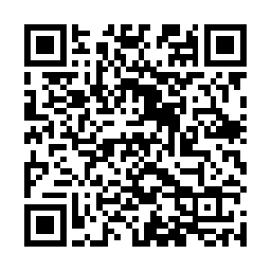 至今没有一个试炼者是因为躲在一个地方熬过一个月的二维码生成