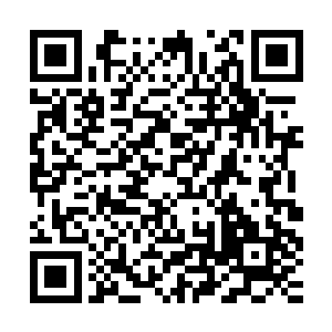 舍不得钱让孩子参加集体户外活动这样的行为他们是无法理解的二维码生成