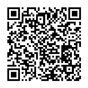 苏拉海牙总是在完全开海的第一天就会来到岛上收取他今年的税钱二维码生成