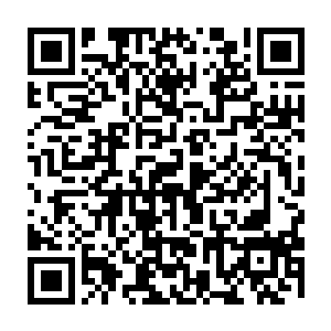 若是一切顺利的话……那我今天岂非就能够将新晋的天域第一人当场斩杀二维码生成