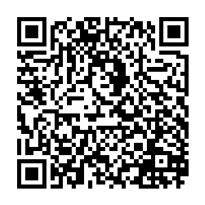 虽然不知道会召出什么东西来……但游戏说明写着召唤物是可以随时解散的二维码生成