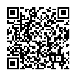 虽然从这个机场到那个机场只需要飞几分钟的时间二维码生成