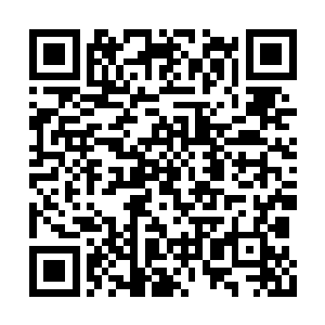 虽然你的众生林没有构建但是圣地已经建立完毕二维码生成