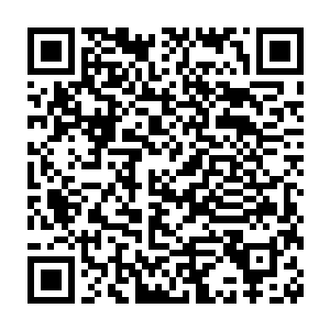 要是他们不知好歹的话我不介意让他们成为我们天龙宗崛起的垫脚石二维码生成