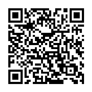 计算机会根据测试者的种族和文明情况随机生成题目二维码生成