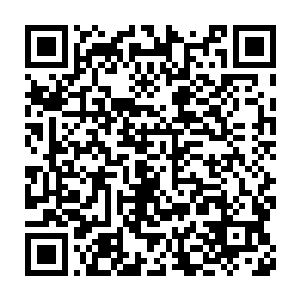 让他们在仔细认真的情况下也提早在流墨墨的预计时间中搜寻完毕二维码生成