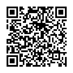 让他们扫扫地板就有几千万的现金可以拿来拍电影二维码生成