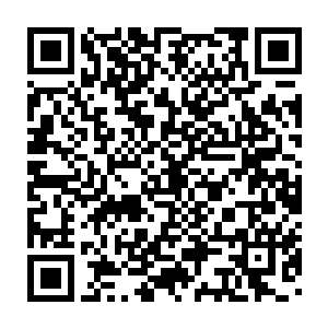 让他在羞惭之余又重新燃起了斗志――哪怕仅仅是为了这些关爱他二维码生成