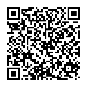 让小少年也想起了当时在渡仙船上自己和流墨墨他们的那点儿交流二维码生成