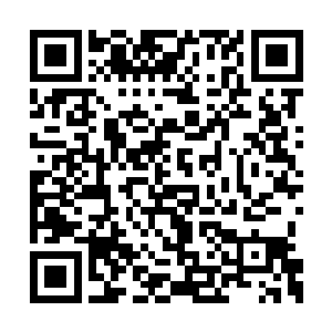 许多城中慕名而来的场外公子哥看热闹也看够了二维码生成