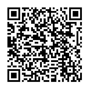 起码在他冒出之前若是让纯种蓝晶人来进来他绝对无法接受的那个念头的时候二维码生成