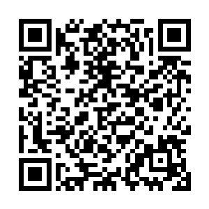 跟着我就感觉有什么冰冷的东西一点点的从伤口处爬了进去二维码生成