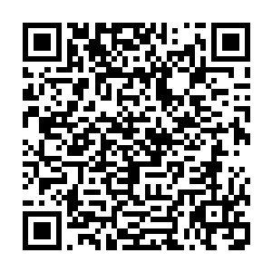 轩辕之丘的大帝皇城乍看起来和轩辕之丘的其他地方也没有什么根本的不同二维码生成