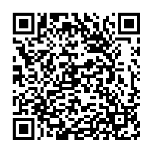 迄今为止还没有任何修士能在这么短的时间内找到我们的生命本源二维码生成